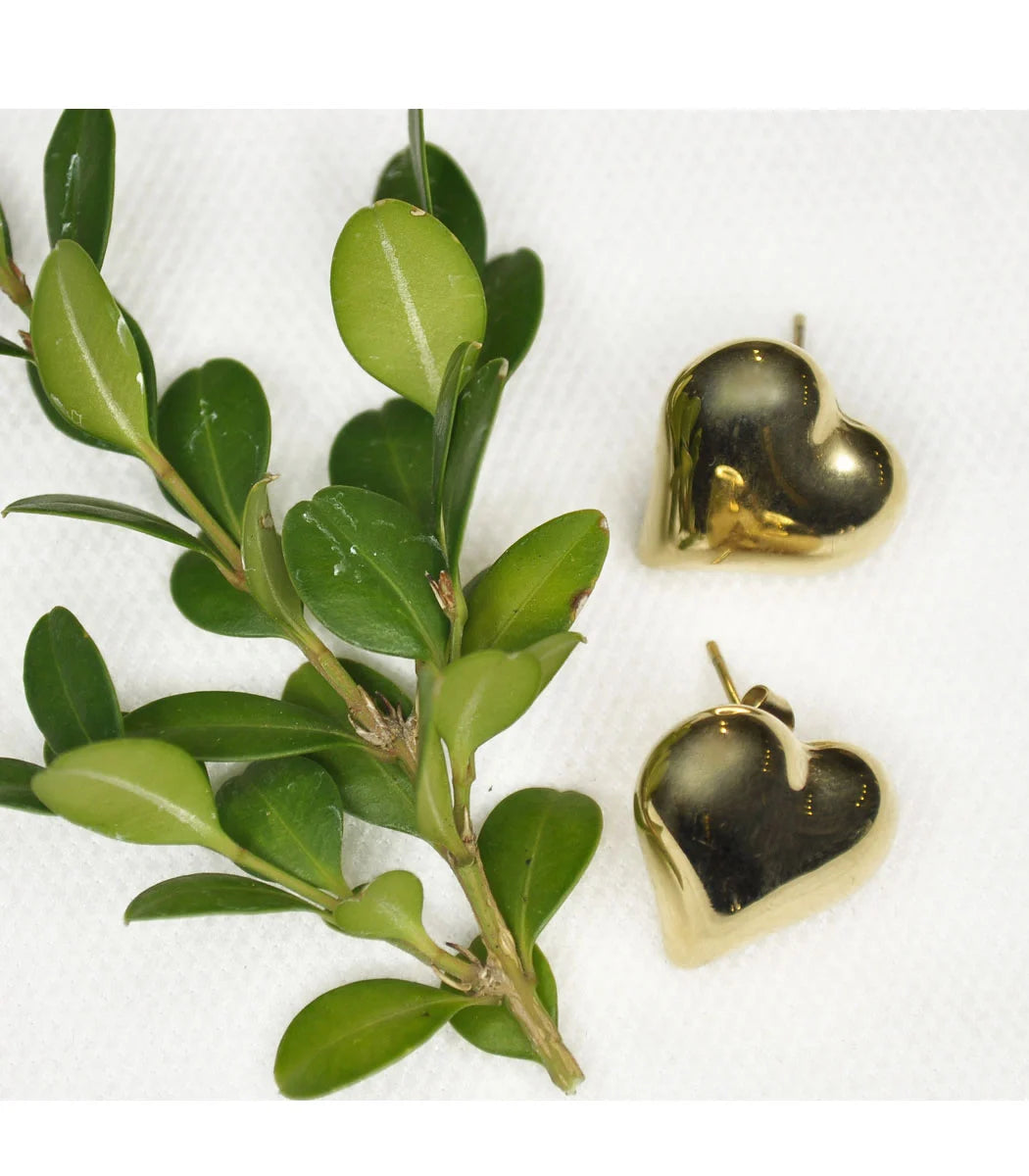 Heart stud earrings